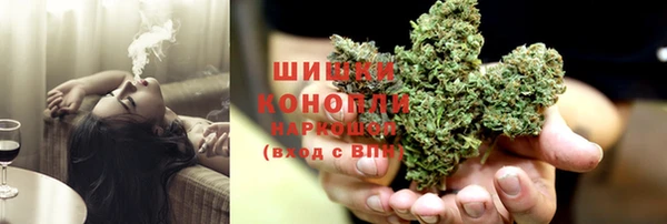 стаф Кулебаки