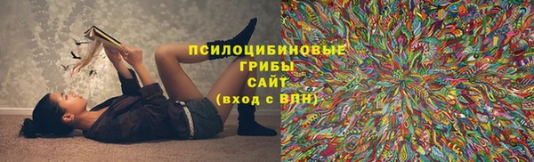 спиды Абаза