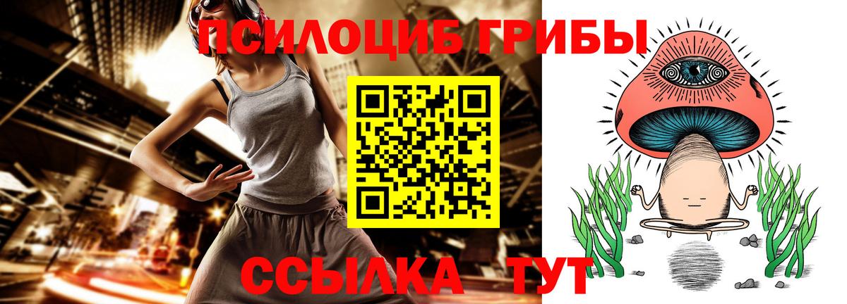 Псилоцибиновые грибы мицелий Оренбург